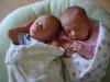DSC01627.jpg