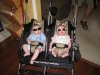 May_435a.jpg